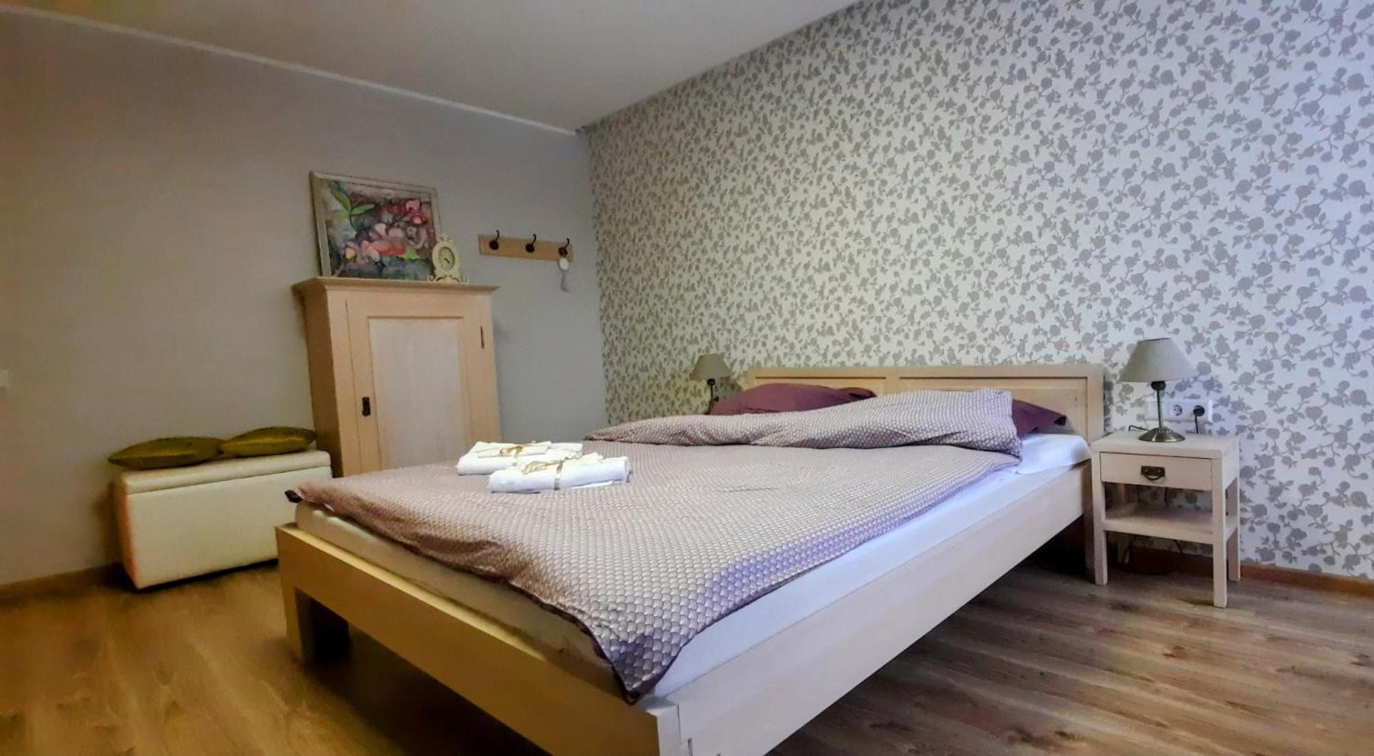Apartment Ciurlionis *